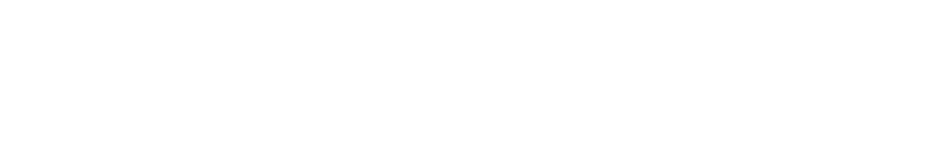 LEANDER HERZOG