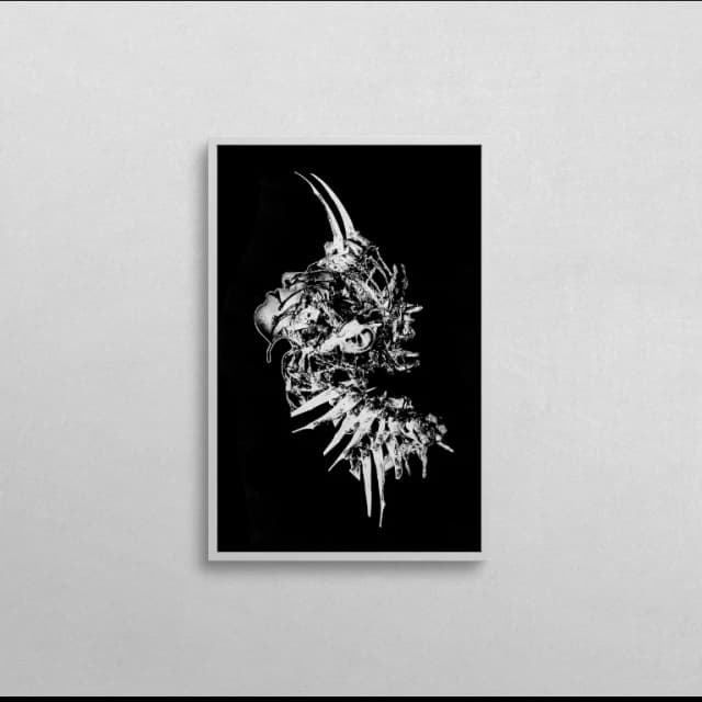 BONES (1st Edition) Certificate of authenticity